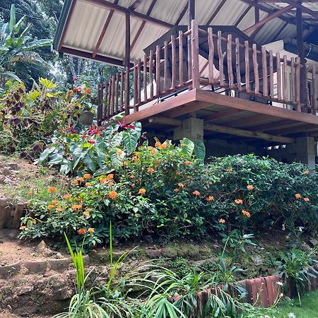 Eeshani Guest Inn เอลลา ภายนอก รูปภาพ