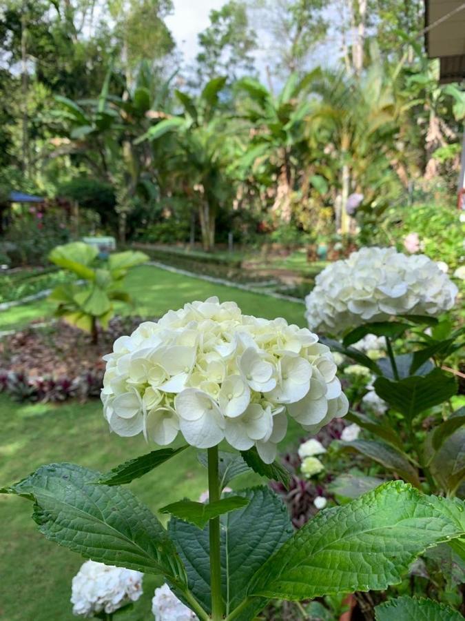 Eeshani Guest Inn เอลลา ภายนอก รูปภาพ
