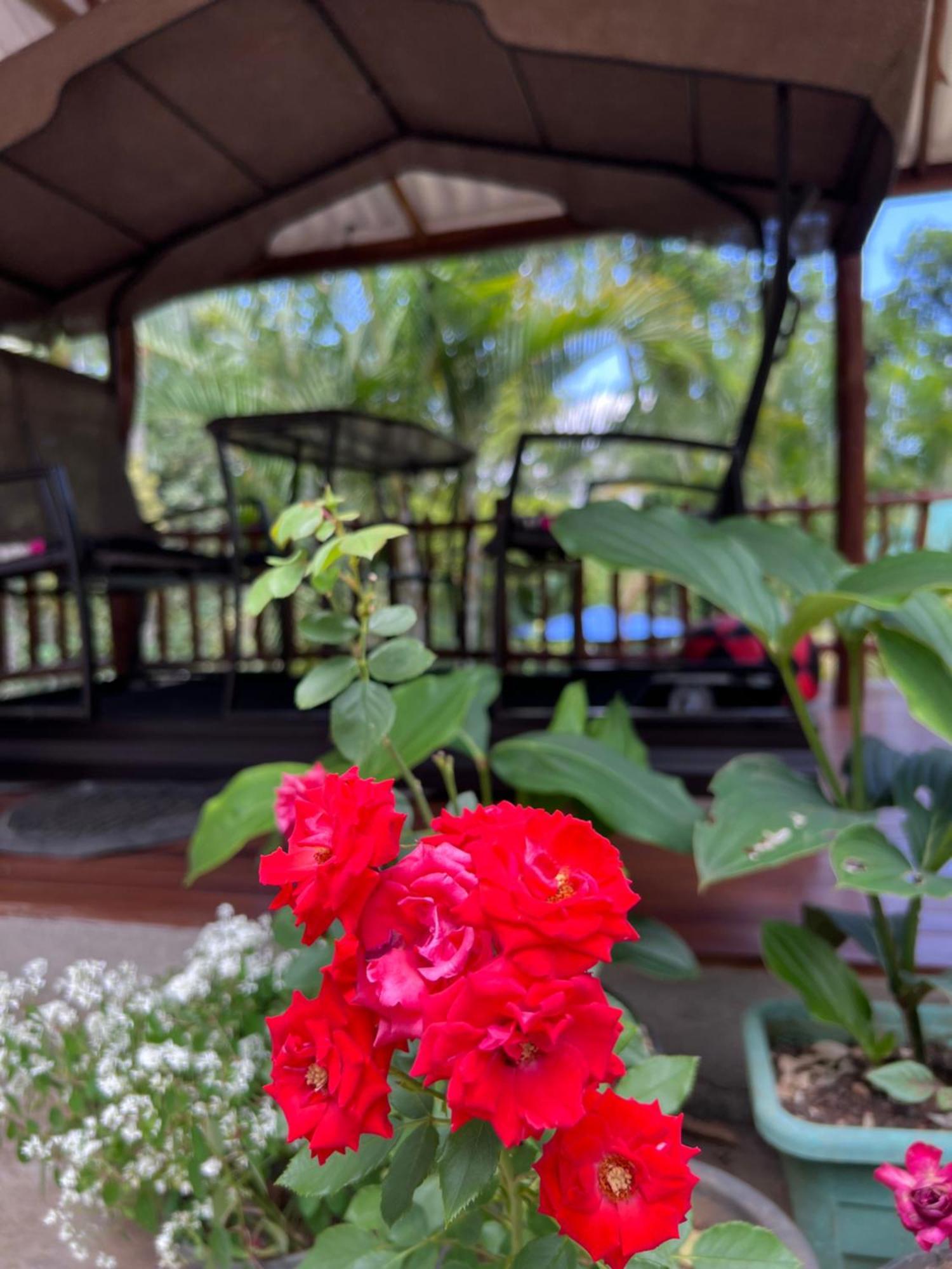 Eeshani Guest Inn เอลลา ภายนอก รูปภาพ